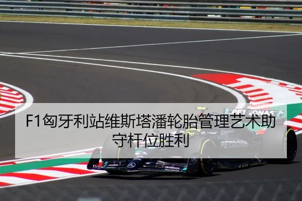 F1匈牙利站维斯塔潘轮胎管理艺术助守杆位胜利