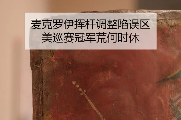 mai-ke-luo-yi-hui-gan-tiao-zheng-xian-wu-qu-mei-xun-sai-guan-jun-huang-he-shi-xiu-2-376.jpg