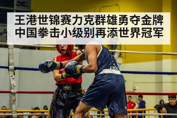 王港世锦赛力克群雄勇夺金牌中国拳击小级别再添世界冠军