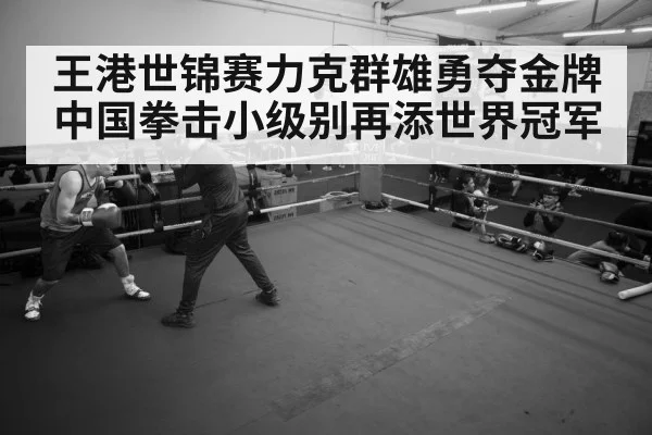 boxer training gym